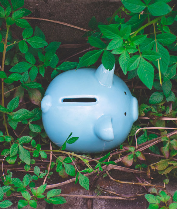 Piggy bank